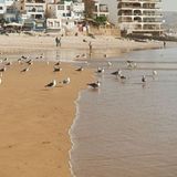 Iniciativa Atlántica y el Sahel