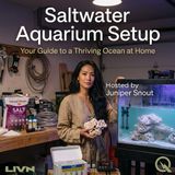 Saltwater Aquarium Setup - The Living Engine: Rock, Flow, and the Art of Biological Filtration