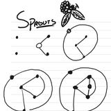 Sprouts, i germogli della matematica.