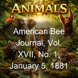 American Bee Journal Vol XVII No 1 January 5 1881 - Various