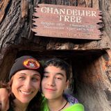Adventures Among the Giants: Drive-Thru Trees, the Skunk Train & Confusion Hill  || E133