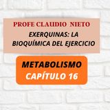 263.EXERQUINAS: la “farmacia” que tu cuerpo activa al entrenar/ #HORMONAS 16