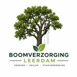 Hoe ga je om met stormschade aan bomen?