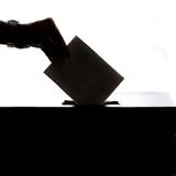 2026 Texas Senate Primary Election Results