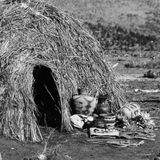 EF06HI08 - 6º ano do Ensino Fundamental - Características dos povos indígenas americanos