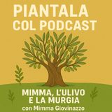EP4 - MIMMA L'ULIVO E LA MURGIA CON MIMMA BRUNA GIOVINAZZO