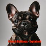 Frenchie the Fearless- A Parisian Tale