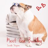 MTB2_02 adottare un bulldog inglese