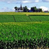 Agricoltura e irrigazione influiscono sulle piogge nel Midwest americano