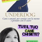 Uderdog: l'identità. Tu e il tuo cane, chi siete?