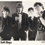 64 - Kimberly Rew of the Soft Boys - Reissues & Katrina & the Waves