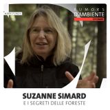 Suzanne Simard e i segreti delle foreste