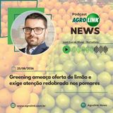 Milho ganha força com oferta mais restrita e cenário internacional