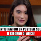 Un posto al sole Anticipazioni: il ritorno di Alice!