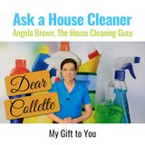 Dear Collette | The Biggest Cleaning Project Ever