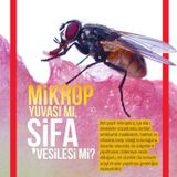 Mikrop Yuvası mı, Şifa Vesilesi mi?