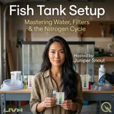 Fish Tank Setup - Your Filter Is a Living Thing
