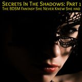 Secrets in the Shadows - Part 1: An Erotic Tale of BDSM Games