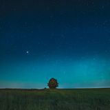 Soft Crickets - 10 Hours Sleep Sound