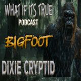Archive 18 Bigfoot