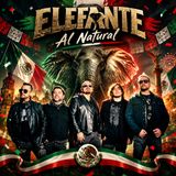 elefante nunca cambio