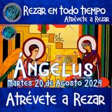 Oración del Ángelus del día de hoy  DE MARTES 20 AGOSTO 2024, 🌹Oración diaria a la Virgen María💙.