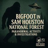 Bigfoot in Sam Houston National Forest | Paranormal Activity & Investigations
