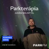 Próbálni kell elengedni a dolgokat, mert egy életünk van - Szekeres Dávid | Park FM - Parkterápia