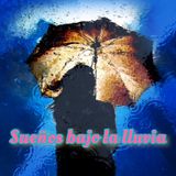 Sueños bajo la lluvia