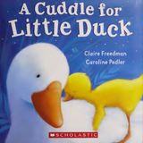 A Cuddle for Little Duck