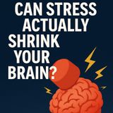 Can Stress Actually Shrink Your Brain? | Brain Under Stress Explained