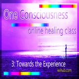 One Consciousness II: Towards the experience