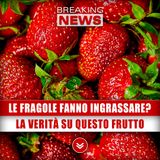Le Fragole Fanno Ingrassare? La Verità Su Questo Frutto Miracoloso!
