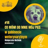 #14. Co mówi do mnie mój pies w gabinecie weterynaryjnym?