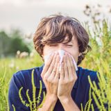 Allergie o suggestioni? La verità dietro l’allergia-mania