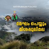 മേഘം പെയ്യും മീശപ്പുലിമല | Meesapulimala | Out of Twon | Podcast