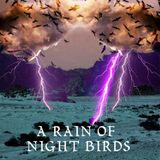 Deena Metgzer: A Rain of Night Birds