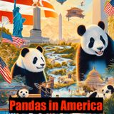 Pandas in America- A Brief History