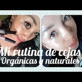 Cómo hago mis cejas orgánicas y naturales, super fácil con productos económicos #kjbeauty #im
