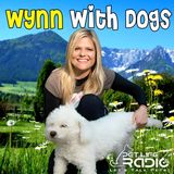 PetLifeRadio.com - Episode 2 Feed Fido Right