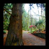 Doumac Park Trail
