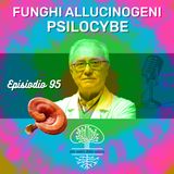 Funghi Allucinogeni: PSILOCYBE