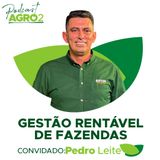 Do preço à margem: tudo sobre a pecuária rentável #383