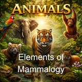 Elements of Mammalogy - William Ruschenberger