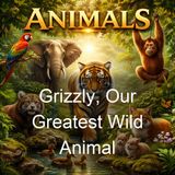 Grizzly Our Greatest Wild Animal - Enos A Mills