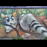 Episodio 1. SinRegresoASuHogar.AnimalesEnExtinciónEnTlaxcalaMéxico