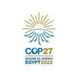 COP 27: un'occasione di crescita?
