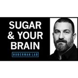 Controlling Sugar Cravings & Metabolism with Science-Based Tools _ Huberman Lab Podcast #64