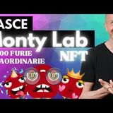 Nasce Monty Lab (NFT) - 10.000 Furie Straordinarie!
