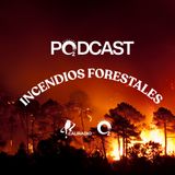 NUESTRO OXÍGENO Incendios en Chile – Marisol Cabello